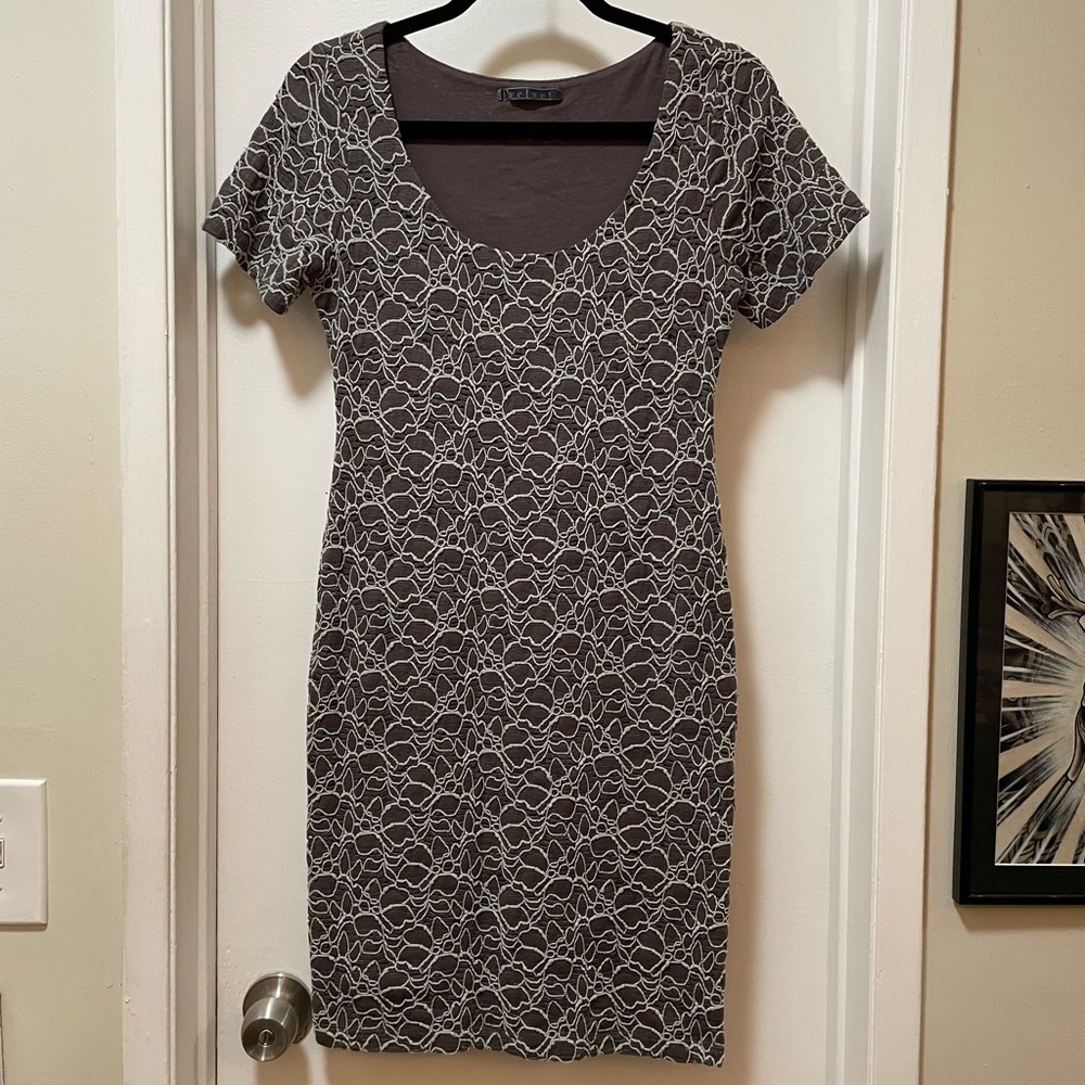 Velvet by Graham & Spencer Lace Fitted Dress